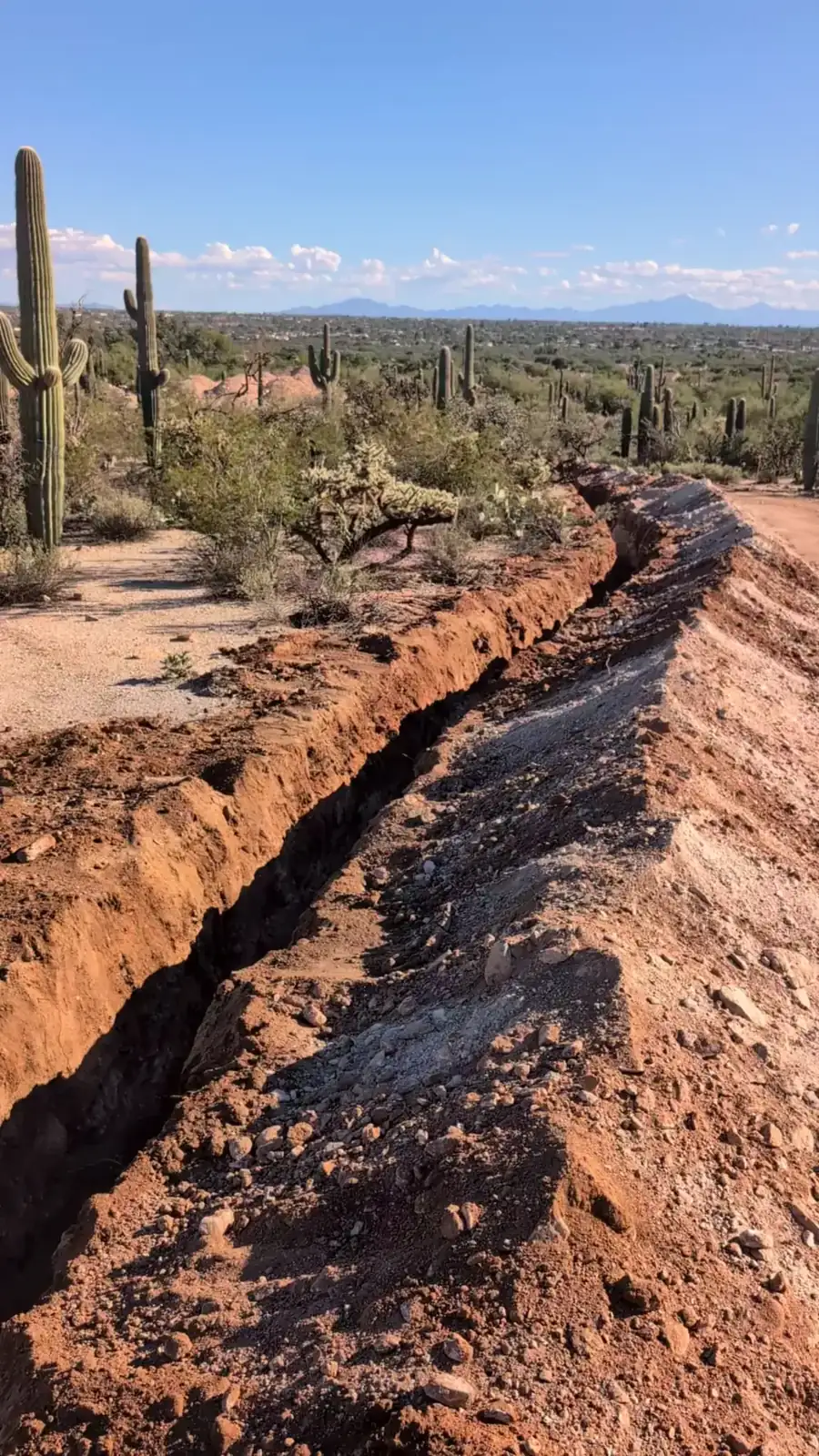 The full length of the trench line across the lot