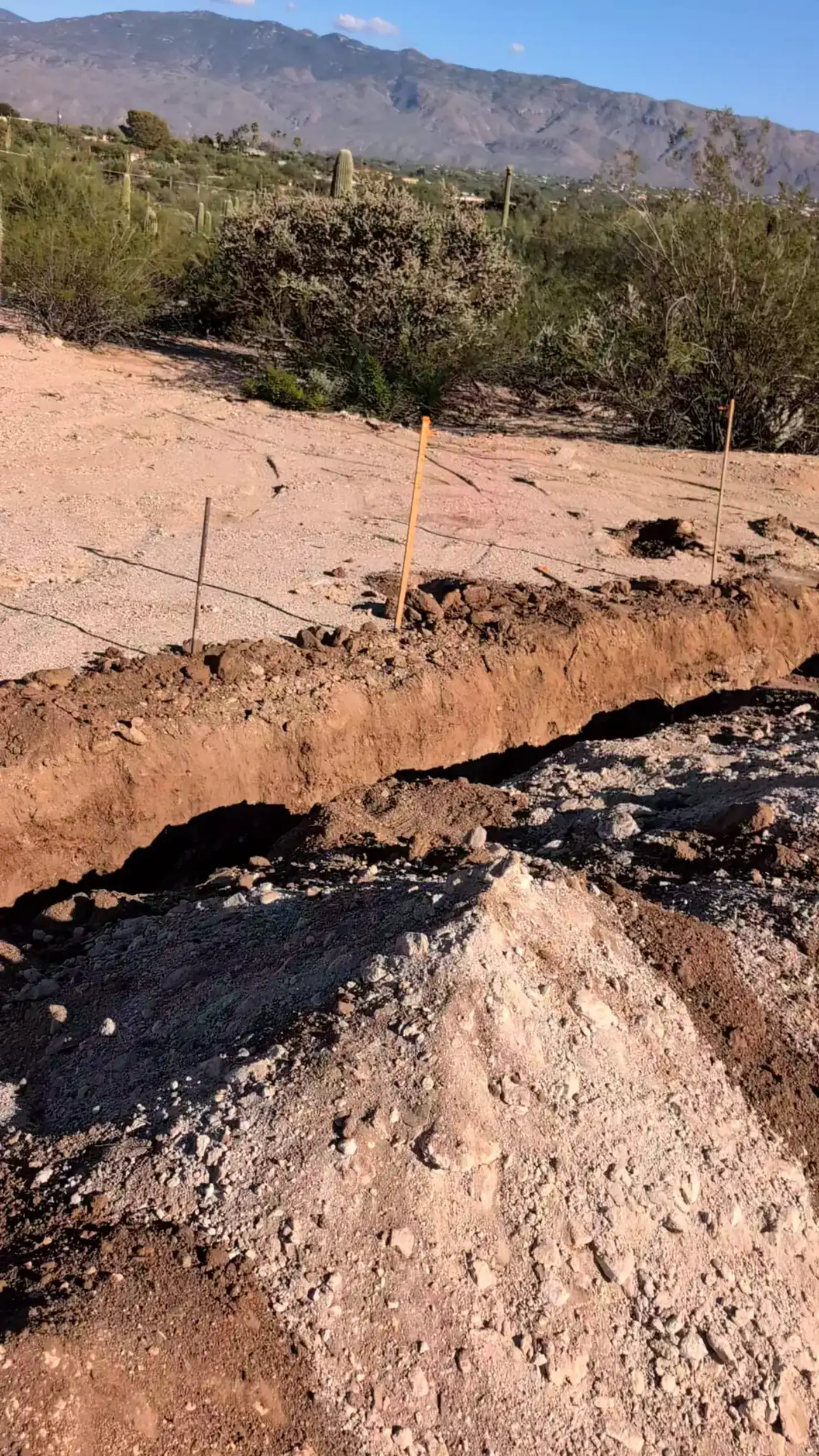 Long open utility trench across a desert lot in Tucson with saguaros and the Santa Catalina Mountains behind